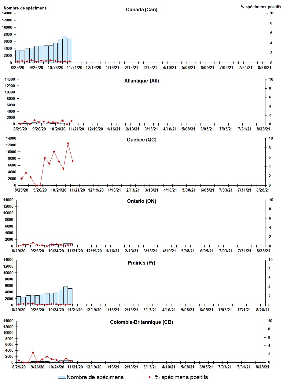 Figure 5. La version textuelle suit.