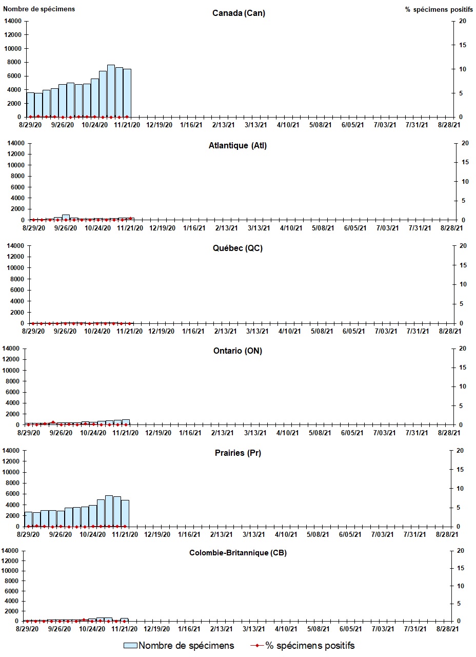 Figure 4. La version textuelle suit.