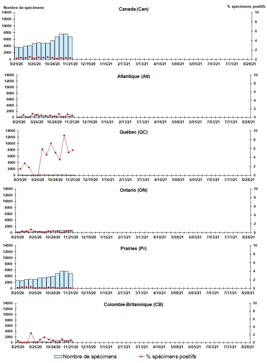 Figure 5. La version textuelle suit.