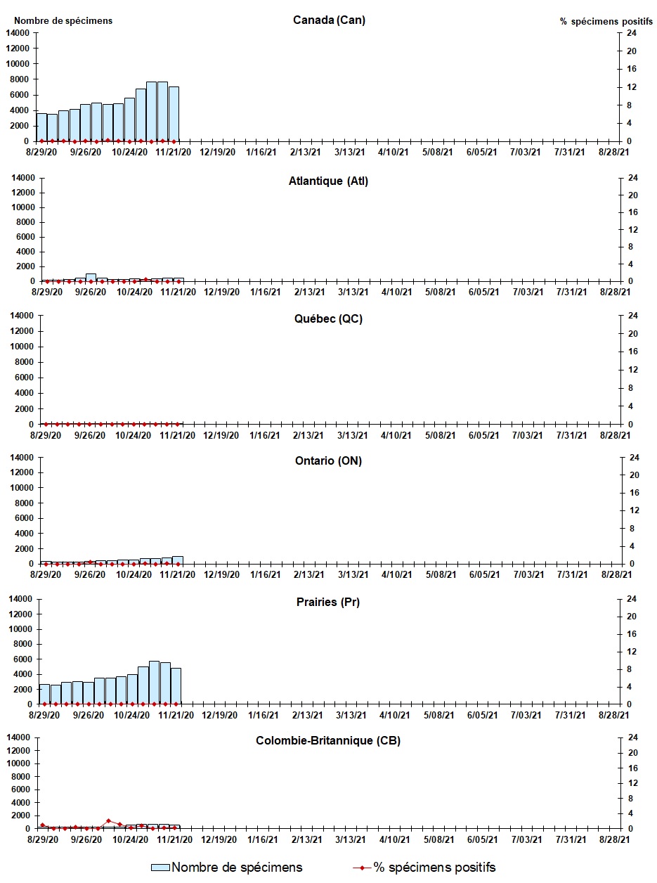 Figure 6. La version textuelle suit.