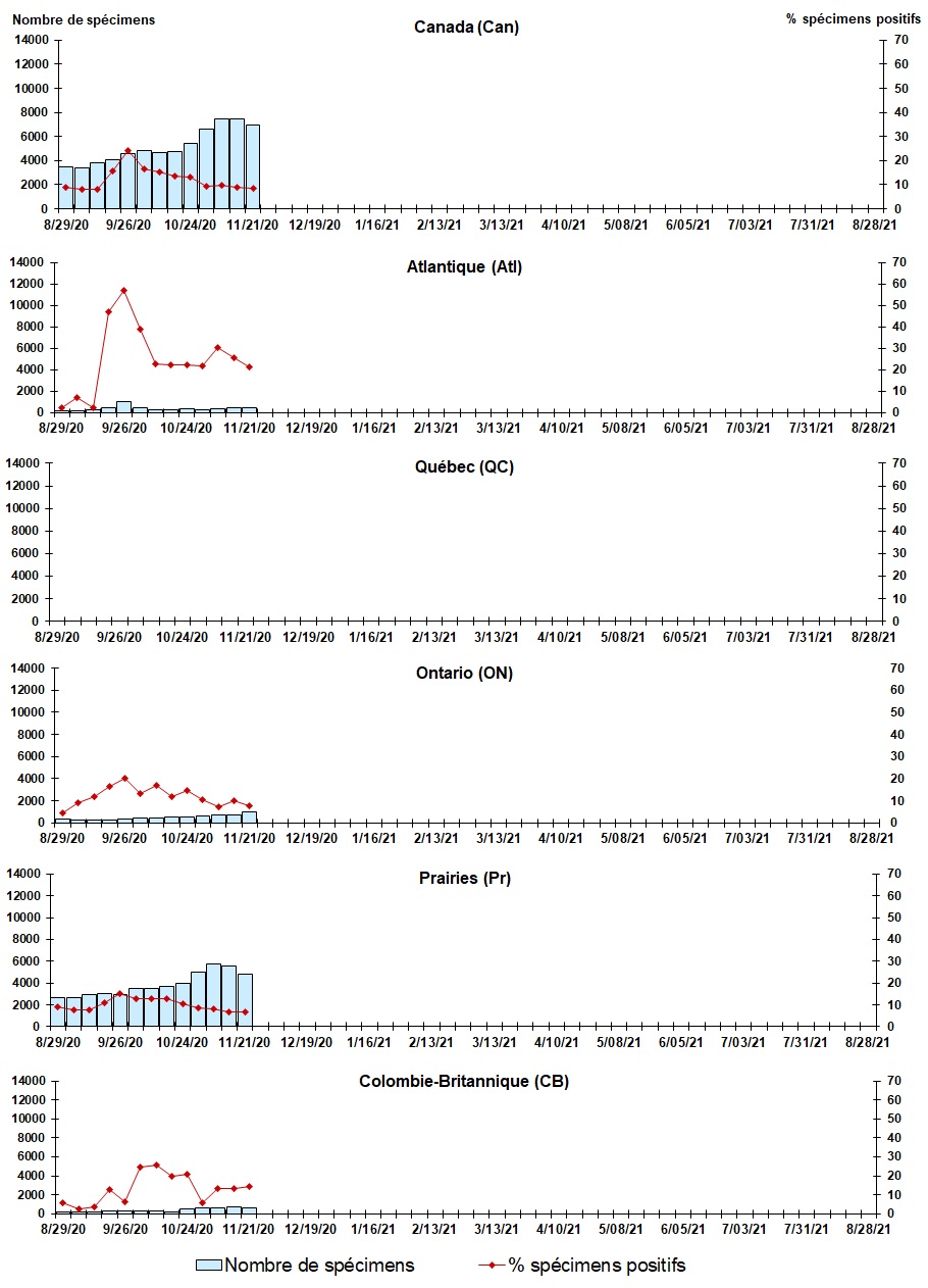 Figure 7. La version textuelle suit.