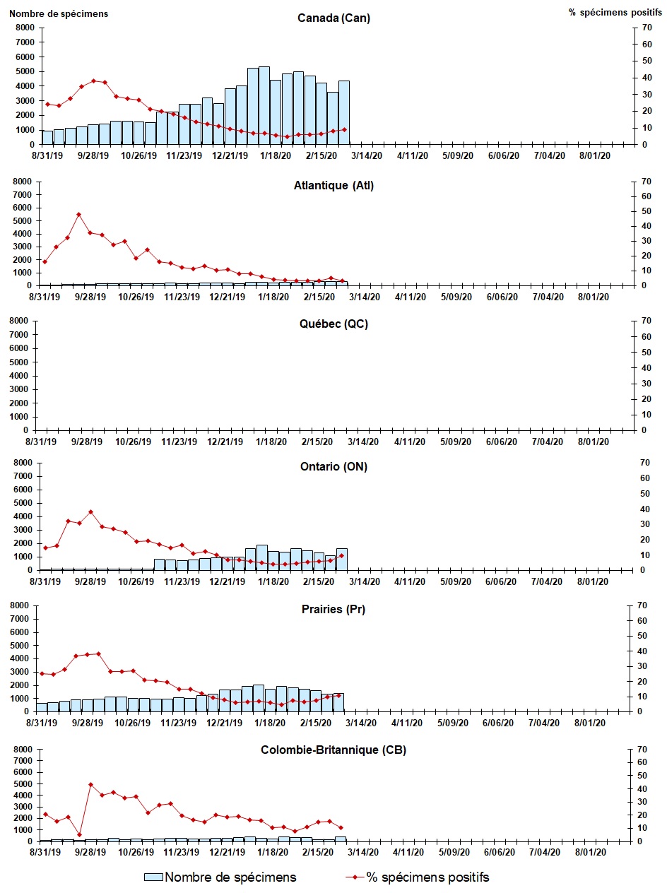 Figure 7. La version textuelle suit.
