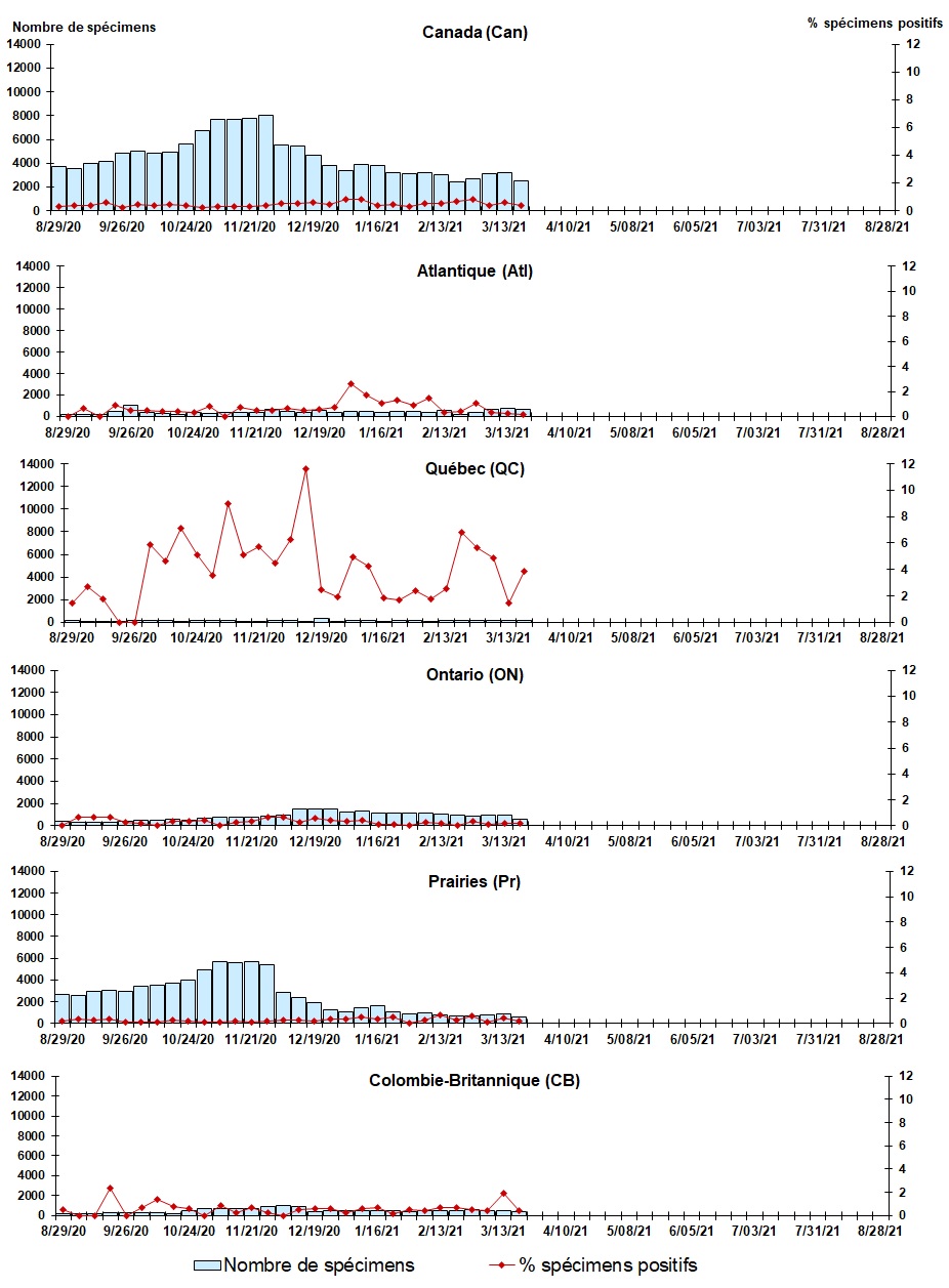 Figure 5. La version textuelle suit.