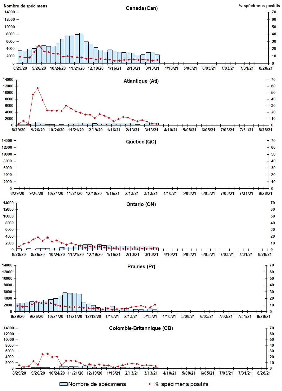 Figure 7. La version textuelle suit.