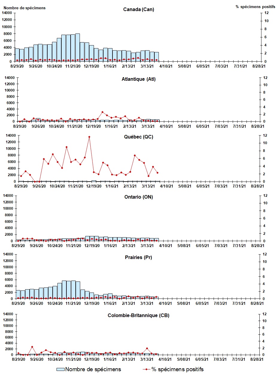 Figure 5. La version textuelle suit.