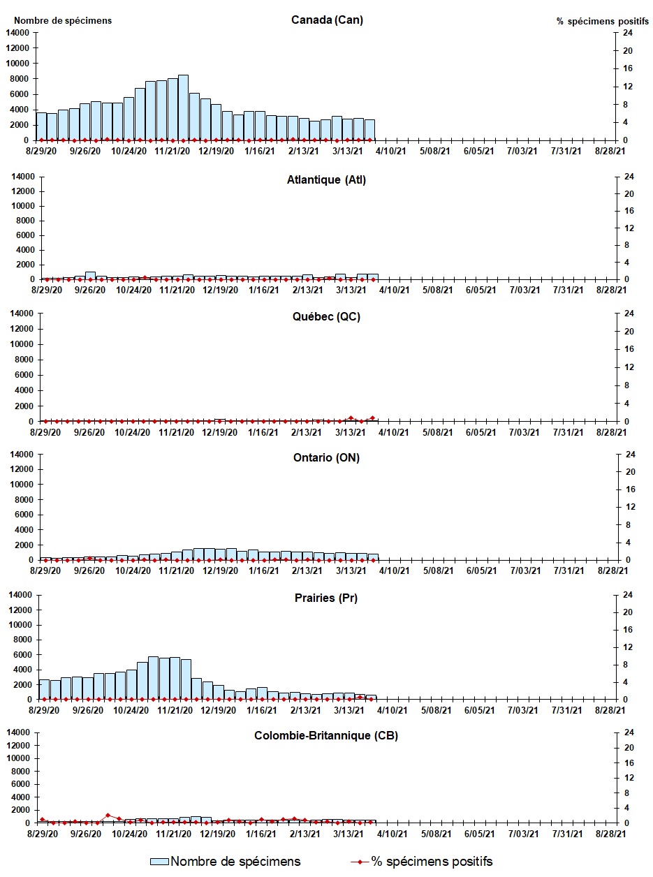 Figure 6. La version textuelle suit.