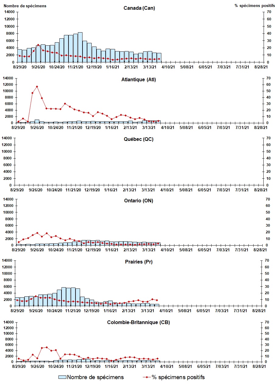 Figure 7. La version textuelle suit.