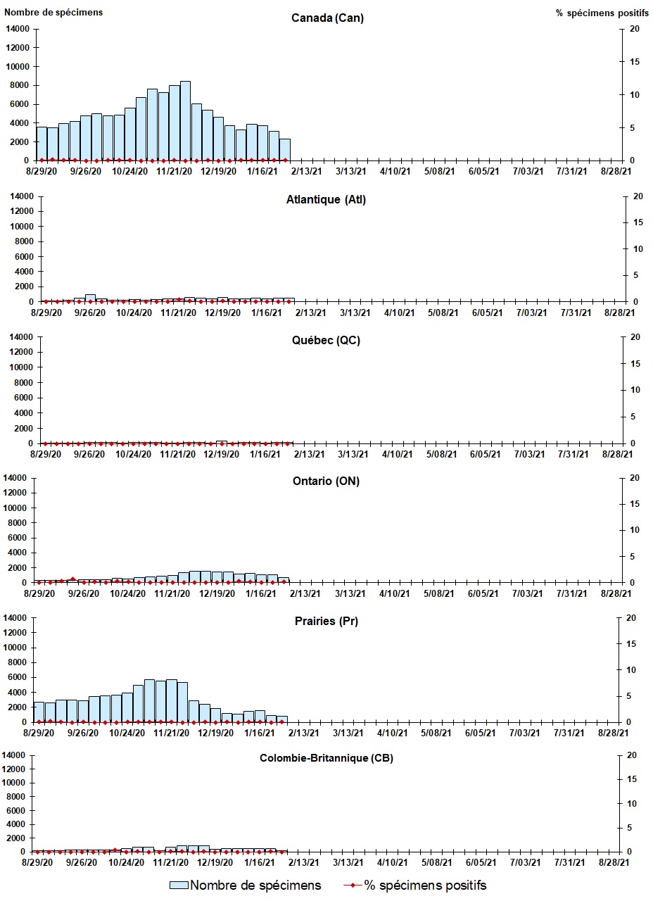 Figure 4. La version textuelle suit.
