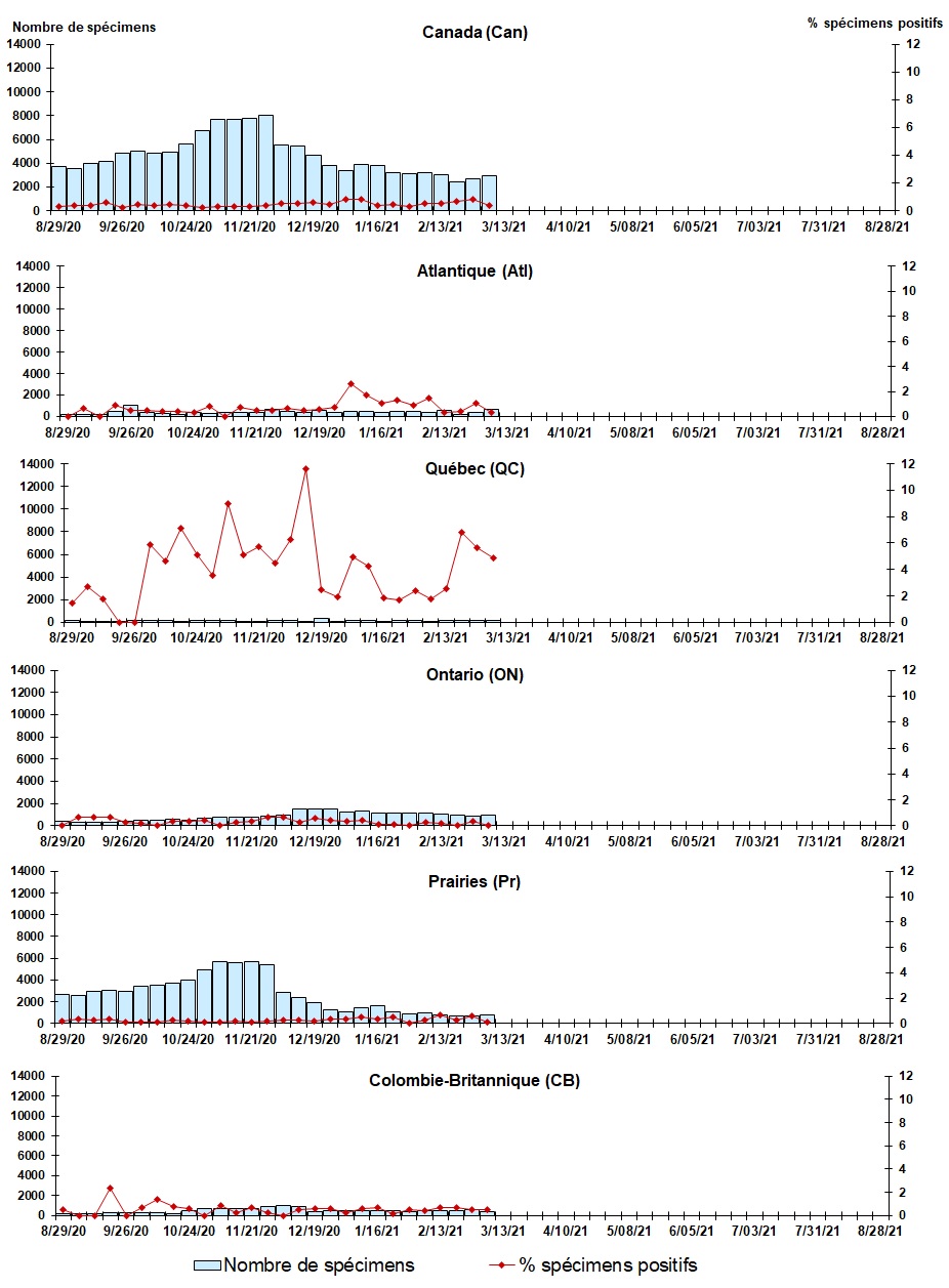 Figure 5. La version textuelle suit.