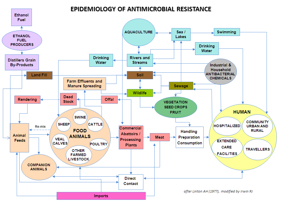Epidemiology of Antimicrobial Resistance