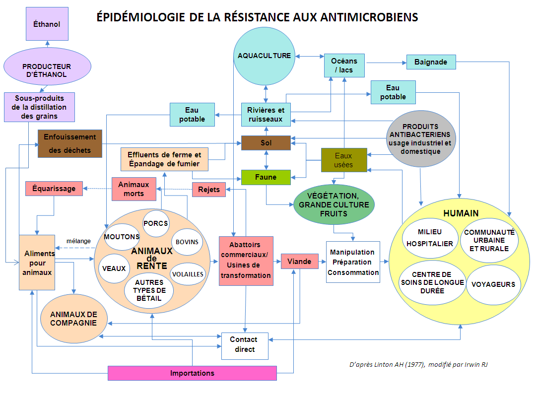 Épidémiologie de la résistance aux antimicrobiens