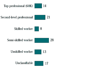 Figure 2.3 Employed mothers: occupation, all students 