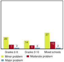 Figure 6.3 - Vacant or shabby houses and buildings are a problem in the neighbourhood where the school is located, by school type (%)