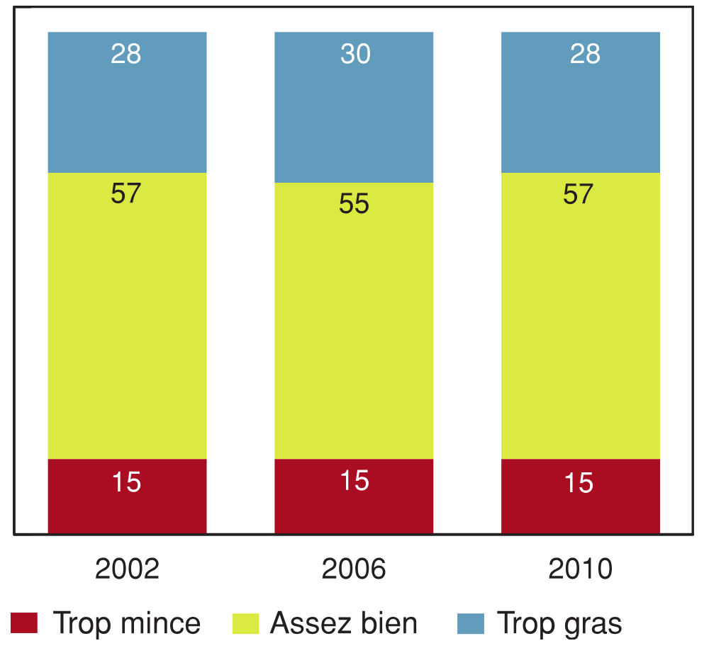 Figure 9.4 - Élèves ayant déclaré que leur corps est trop mince, assez bien ou trop gras, 2002, 2006 et 2010 (%)