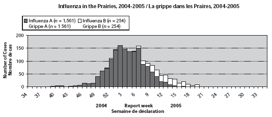 La grippe dans les Praires, 2004-2005