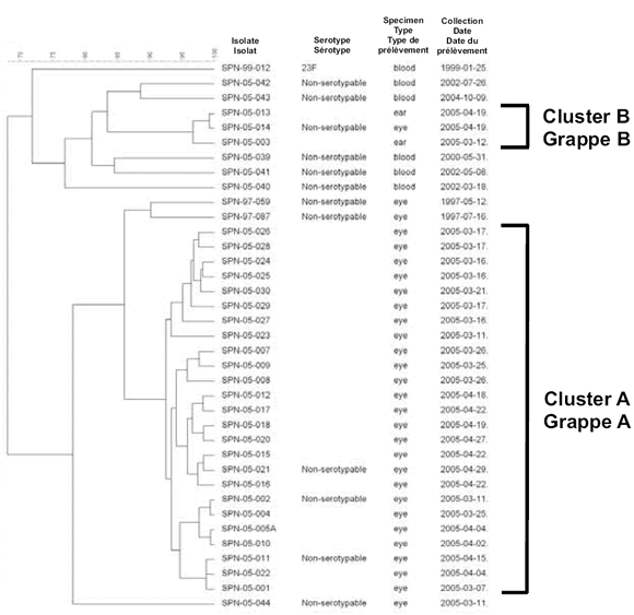 Figure 2. Dendrogram depicting fbAFLP analysis of S. pneumoniae isolates. Clusters A and B denote outbreak cases