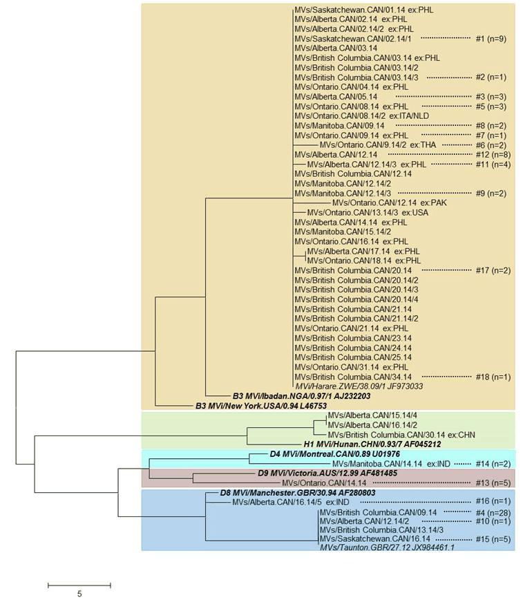 Figure 3: Phylogenetic tree of measles N-450 sequences detected in Canada in 2014 (n=111)