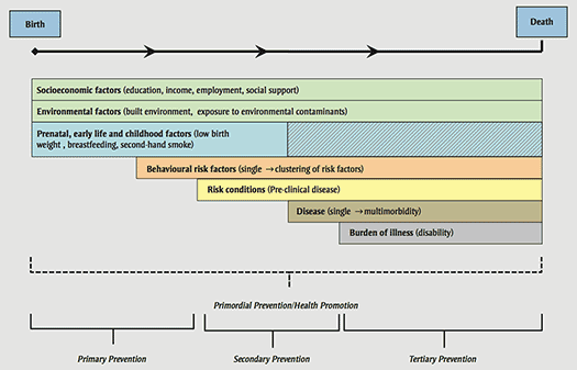 Life-course Diagram