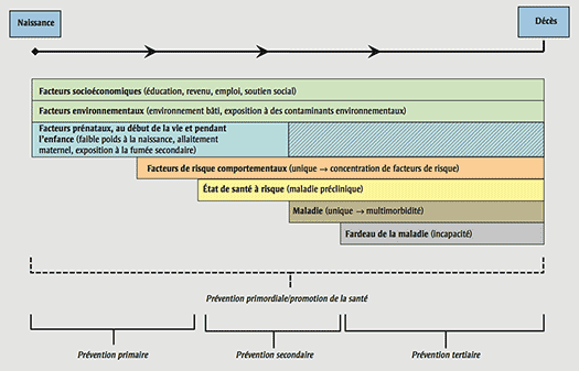 Diagramme illustrant le parcours de vie