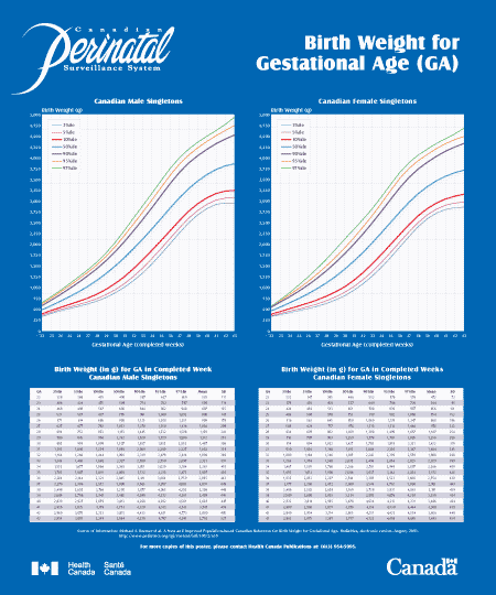 Birth Weight for Gestational Age - Poster