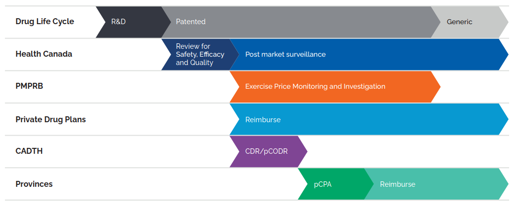 Protecting Consumers in a Complex Marketplace