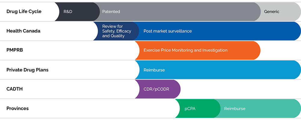 Protecting Consumers in a Complex Marketplace