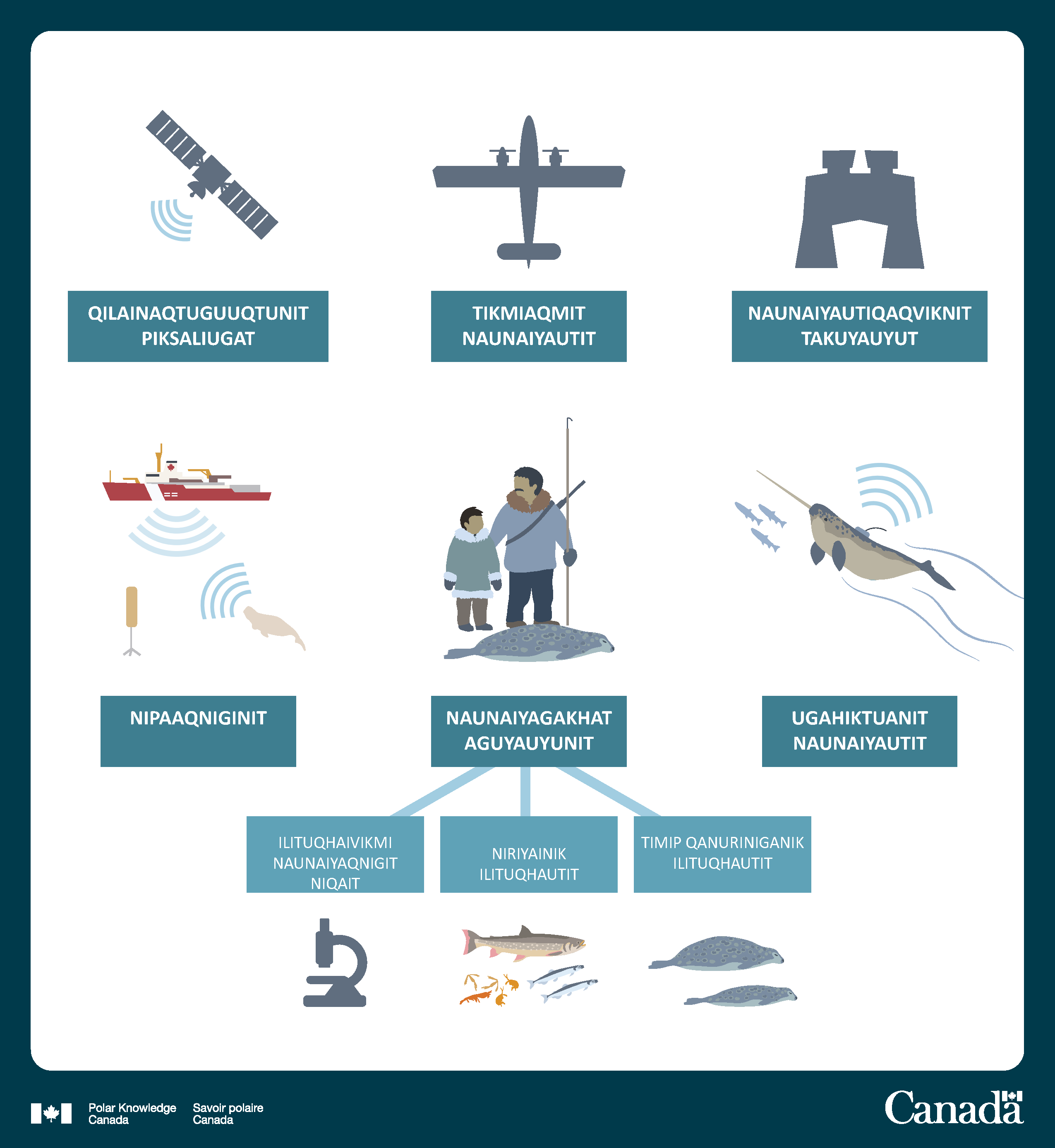 The long description of this infographic follows.