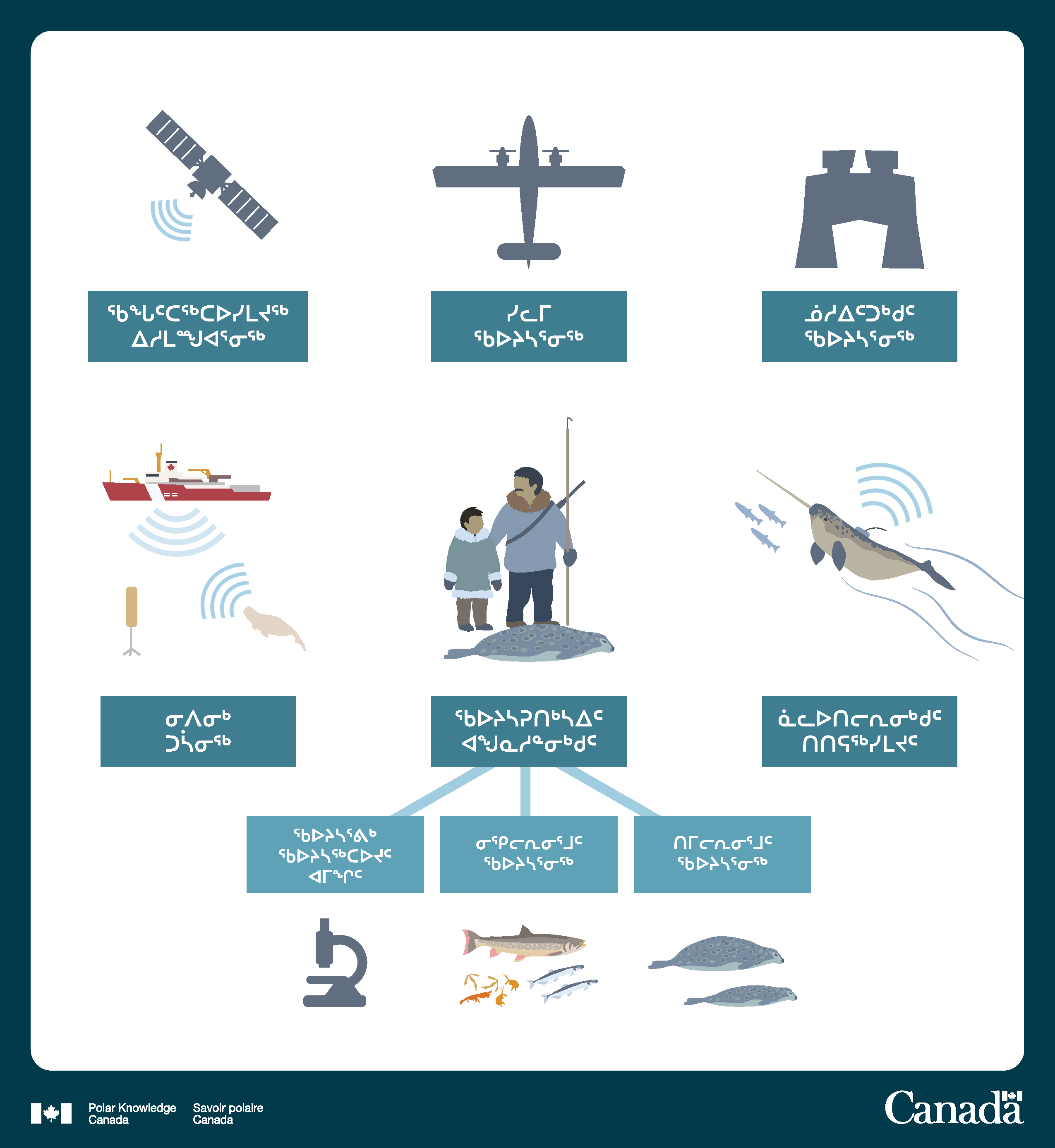 The long description of this infographic follows.