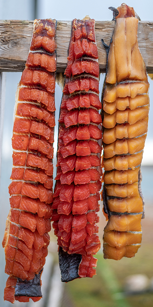 harvested fish are prepared and hung to dry