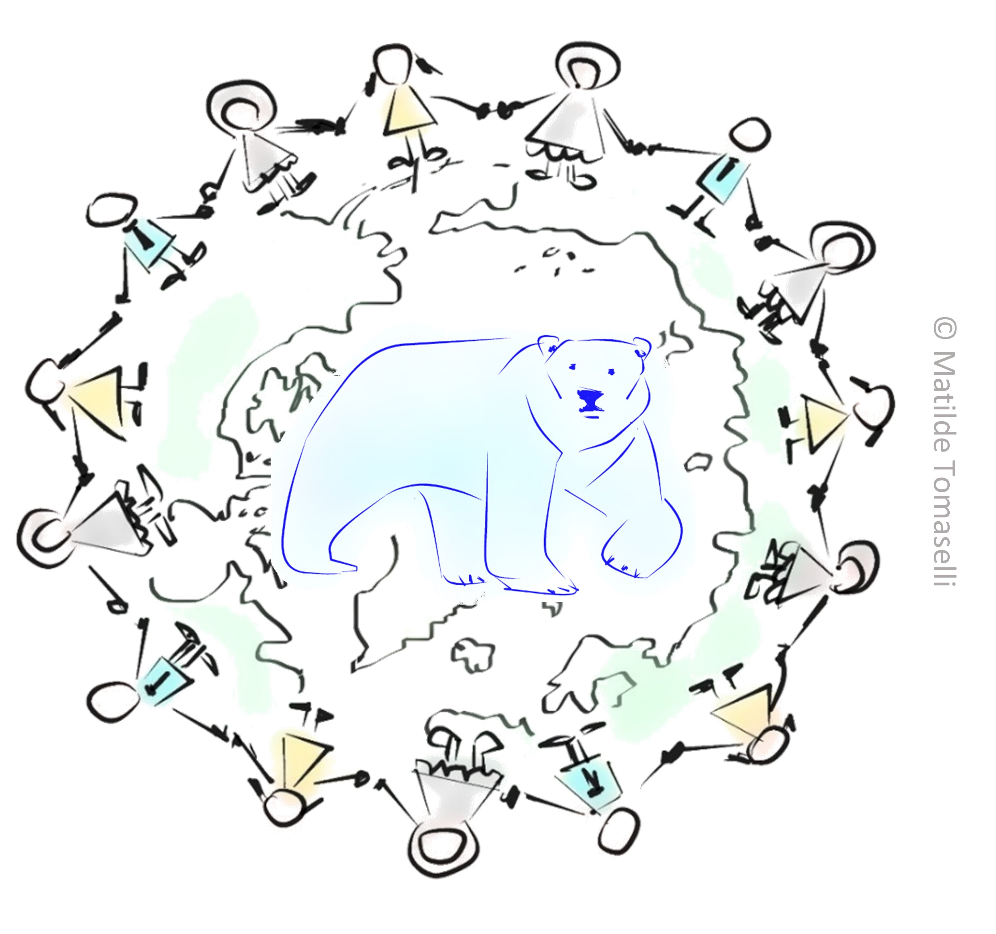 polar bear study collaboration