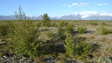 Skeidararsandur research site, South Iceland
