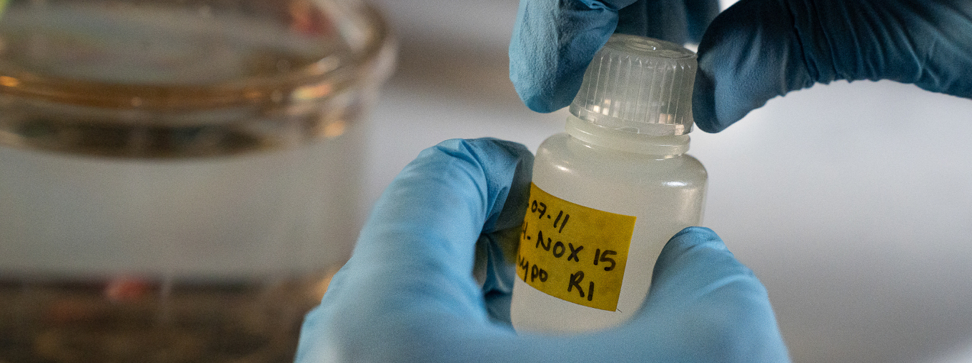 Science-and-Technology-Framework