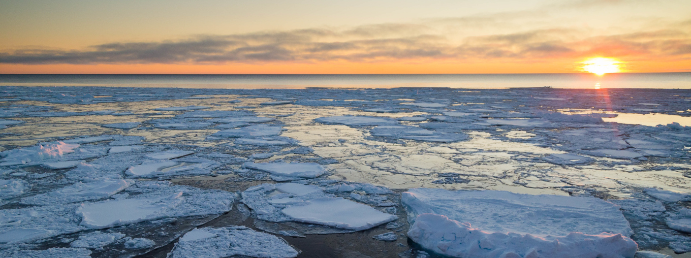 sea ice - Cassandra DeFrancesco