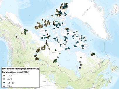 Chlorophylle de l’eau douce