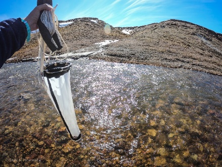 Deploying of a Zooplankton net
