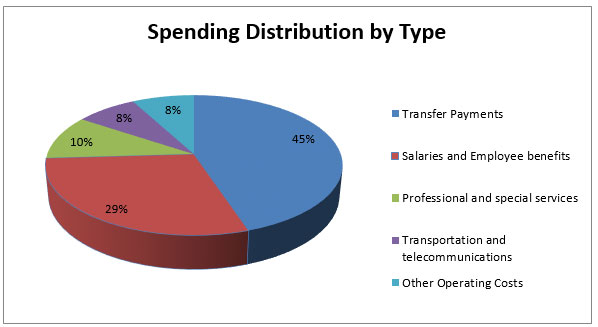 Spending Distribution by Type