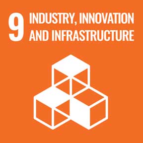 Goal 9: Industry, Innovation, and Infrastructure