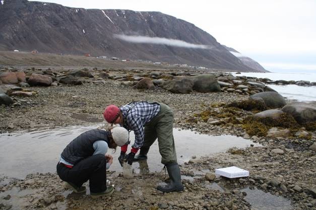 Wastewater benthic survey in Grise Fiord Nunavut, population 150 (Kiley Daley)