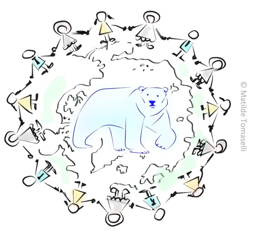 Étude sur l'ours polaire menée en collaboration