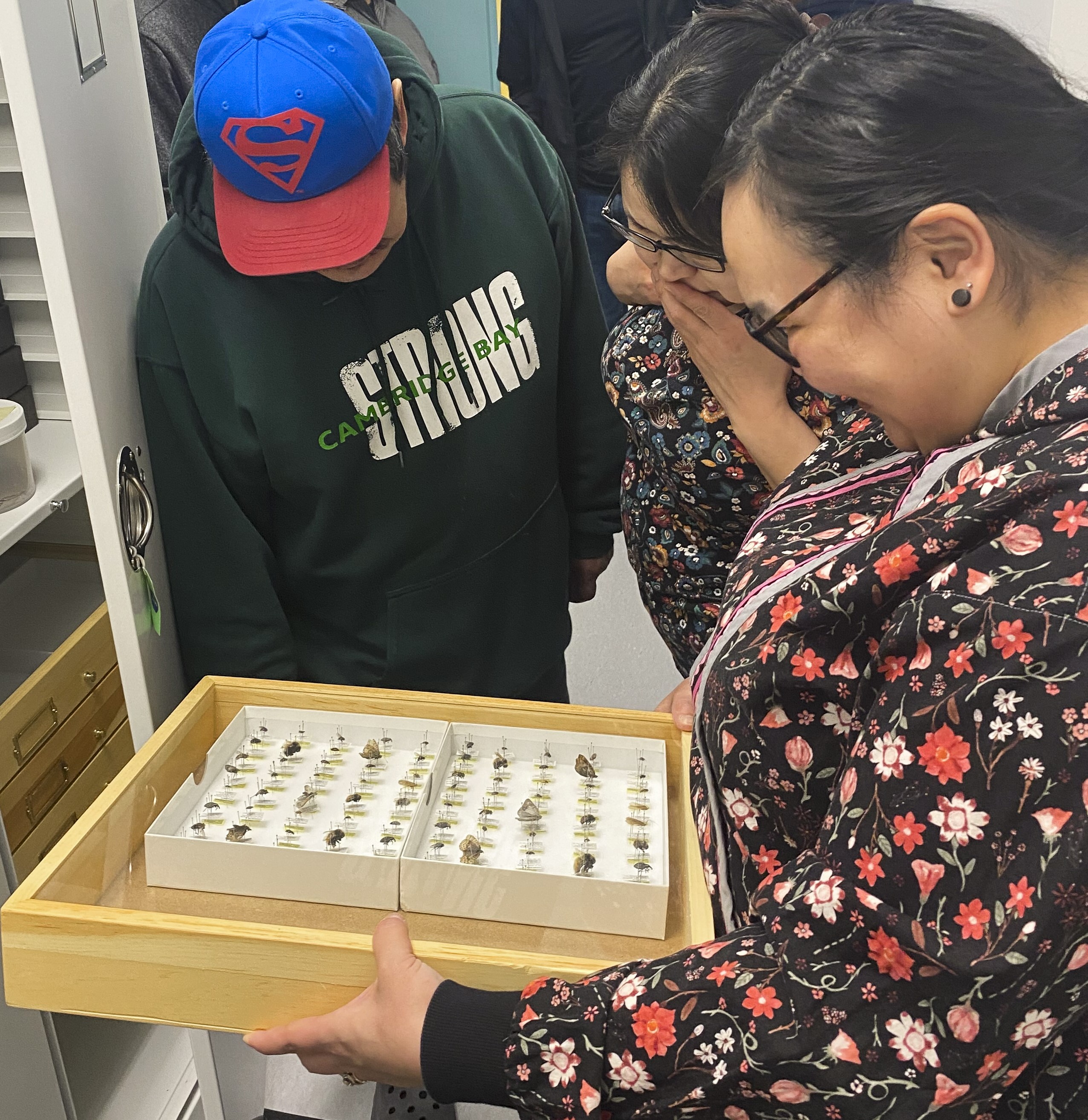 One man and two women look at a tray that holds pinned insects.
