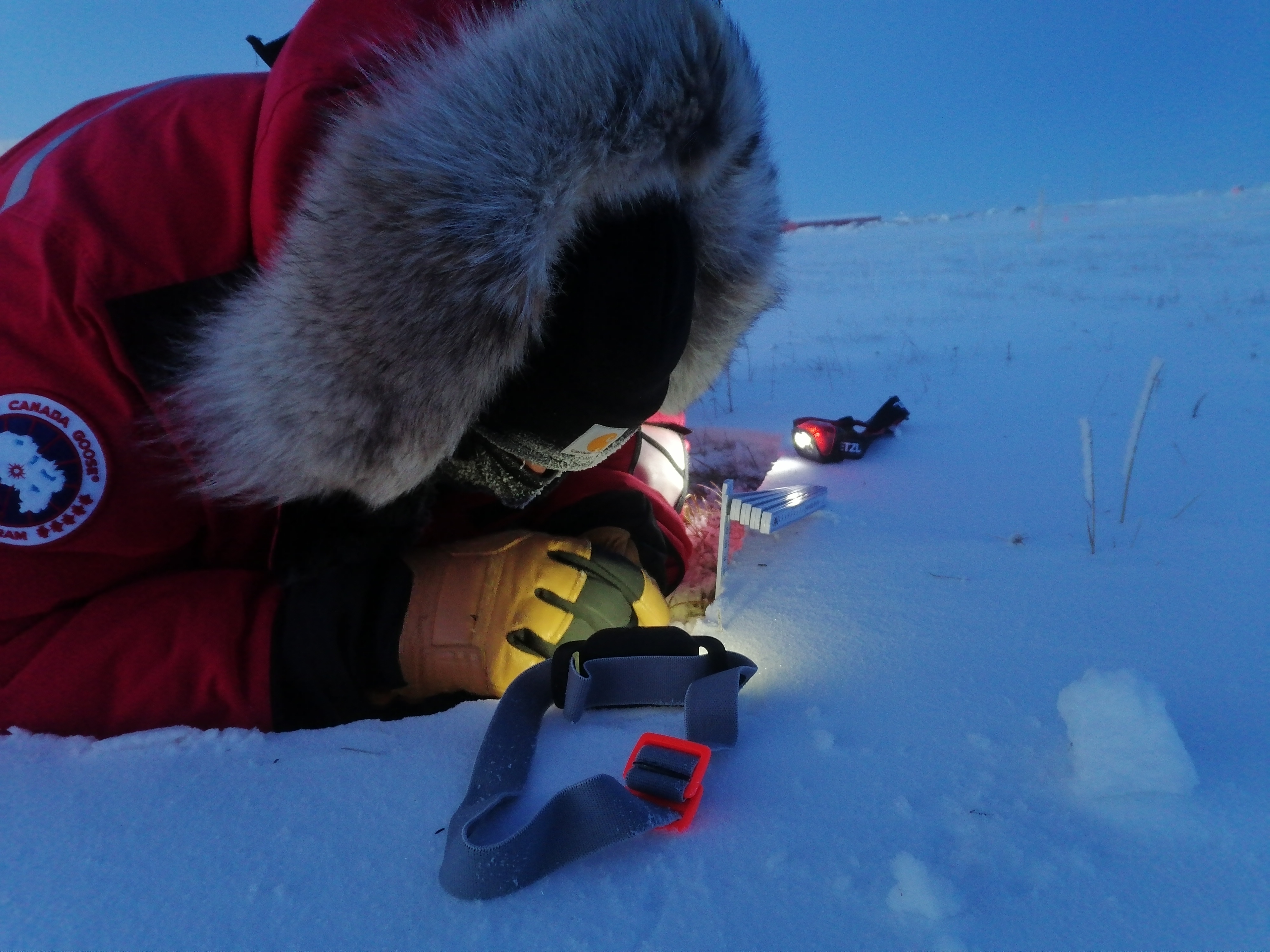 A person wearing a winter coat with a big fur ruff around the hood is lying on snow. A headlamp sits on the snow, shining on what they are looking at.