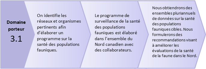 Area of Focus 3.1