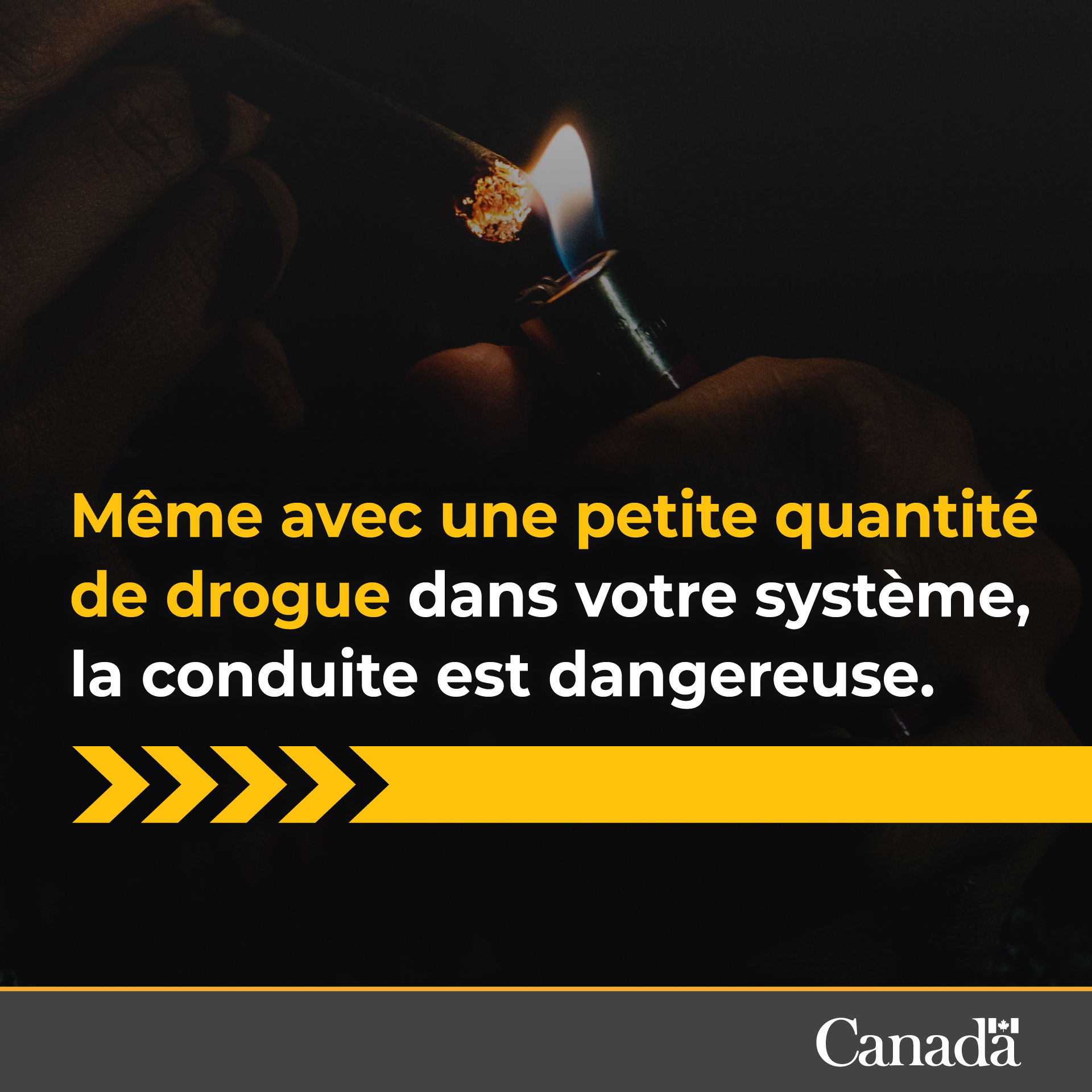 Même avec une petite quantité de drogue dans votre système, la conduite est dangereuse.