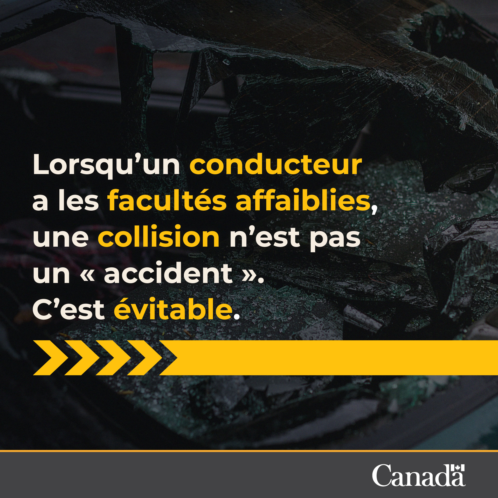 Lorsqu'un conducteur a les facultés affaiblies, une collision n'est pas un « accident ». C'est évitable.