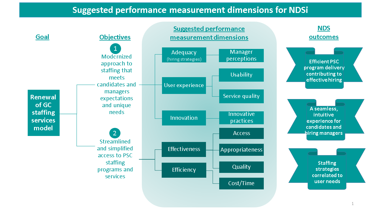 Suggested performance measurement dimensions for NDSi