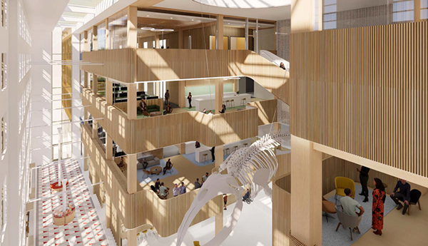 Rendu de l'intérieur d'un immeuble où il y a 3 étages en bois, beaucoup de lumière et la partie postérieure d'un squelette de baleine suspendu.