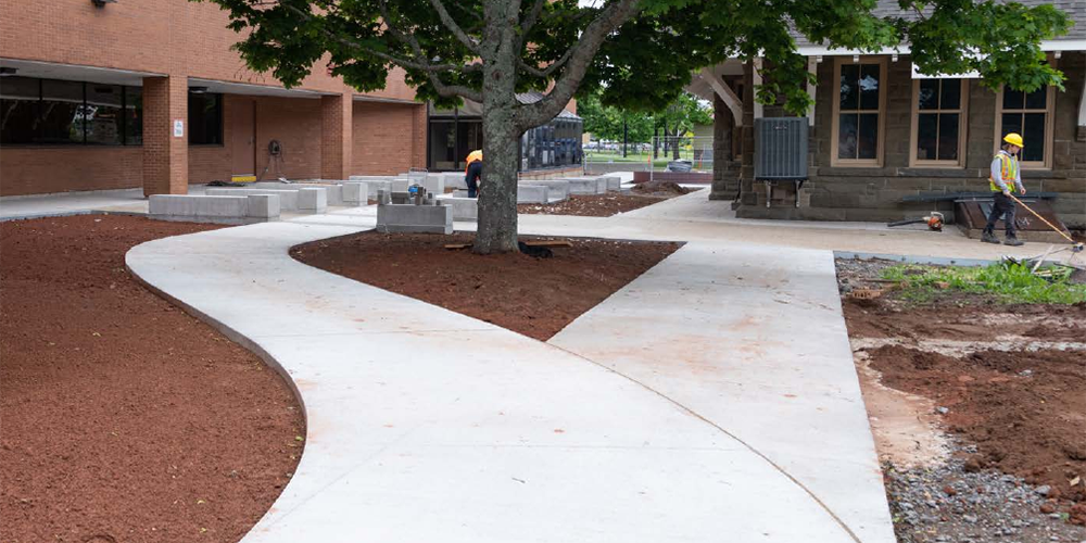 Two sidewalks surrounding a tree in front of a red brick building