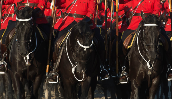 3 black horses with their riders in red uniforms.