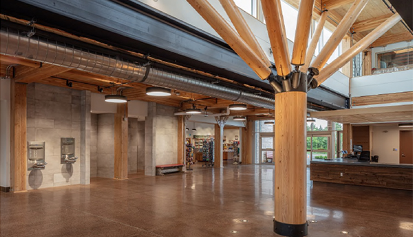 A lobby area with a treelike wooden structural support beam in the centre.
