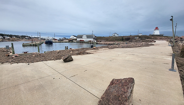 Rocks and debris scattered along the shoreline of a body of water.